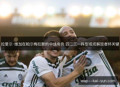 拉斐尔·维加在帕尔梅拉斯的中场角色 四二三一阵型或成解放者杯关键